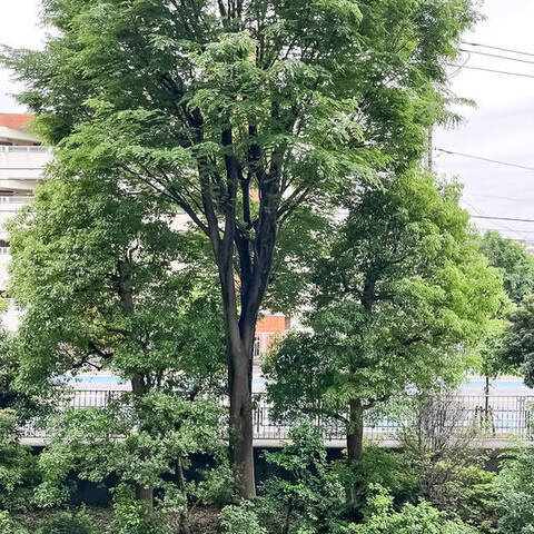 上石神井ハイム4号棟の室内写真