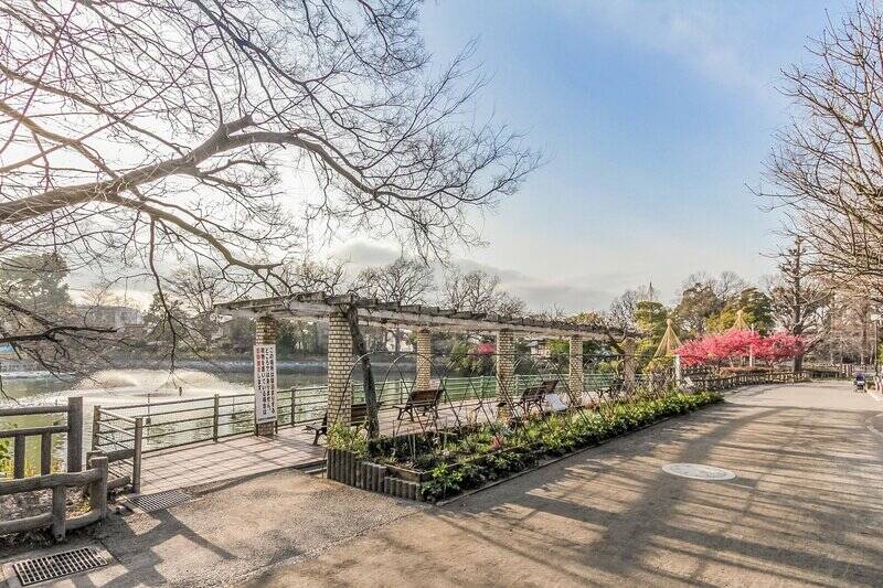 自然も身近。豊かな緑と噴水に癒される「碑文谷公園」もお散歩コースに。(徒歩11
分)