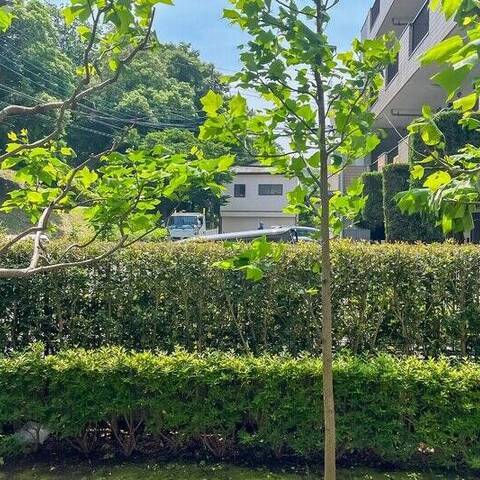 ライオンズグローベル京王永山の室内写真