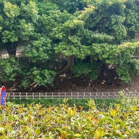 ライオンズグローベル京王永山の室内写真