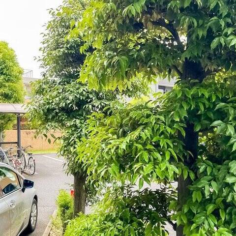ネオコーポ生麦の室内写真