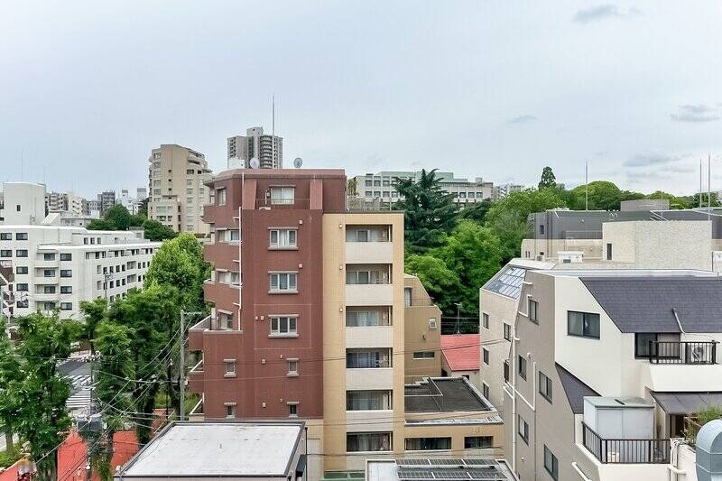 「占春園」の木々に加え、湯立坂沿いの街路樹も目に鮮やか。
