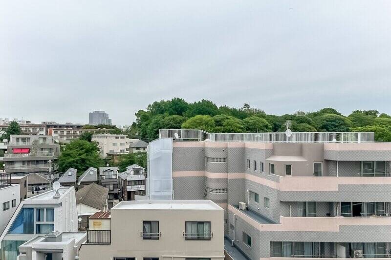 こちらからも「小石川植物園」の緑が見えています。