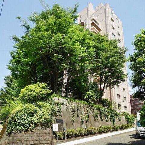 音羽ハウスの建物・共用部写真