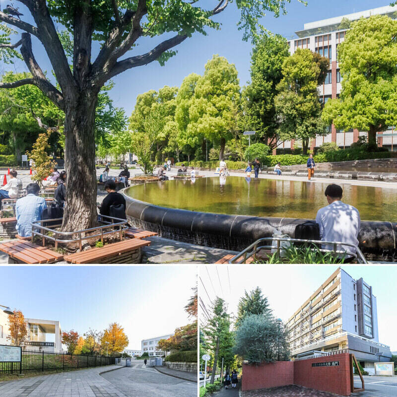 <b>上・</b>筑波大学のキャンパスや窪町小学校に隣接する「教育の森公園」(徒歩10分)。/<b>下・</b>マンションの周囲には「筑波大学附属高等学校」や「お茶の水女子大学」のキャンパスが。