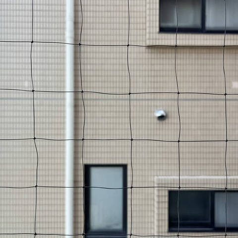 阿佐ヶ谷陵雲閣マンションの室内写真