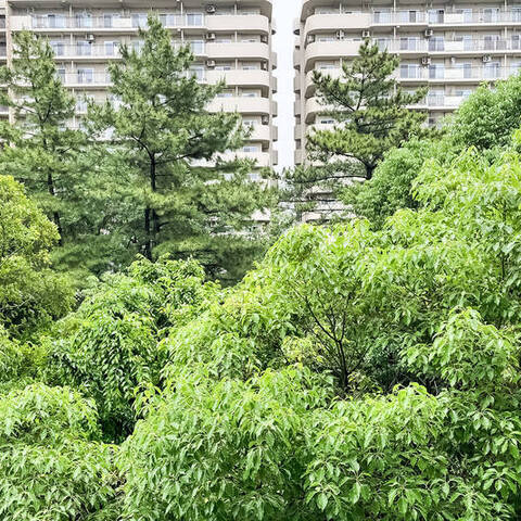 光が丘パークタウン春の風公園街12号棟の室内写真