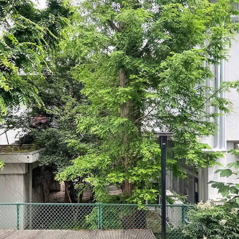 成城アンバサダーの室内写真