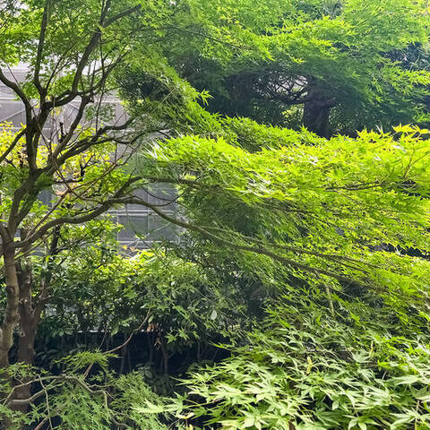 パーク・コート市谷加賀町二丁目の室内写真