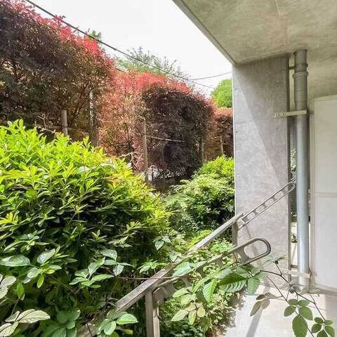 ラ・セーヌ23上池袋の室内写真