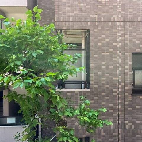 リンデンバームの室内写真