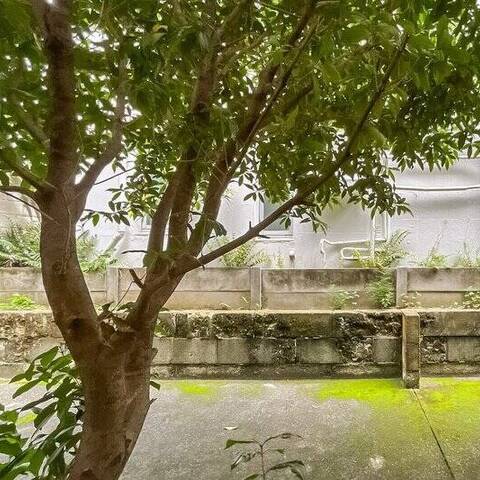 朝日プラザ代々木山手の室内写真