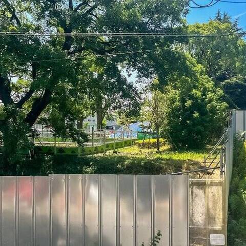 等々力渓谷スカイマンションの眺望・バルコニー写真