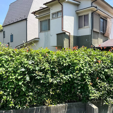 リシェ駒場東大前の室内写真