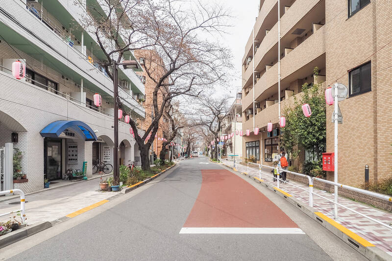駅からマンション近くまでは、夜も人通りが多い「<b>西小山商店街</b>」を歩きます。桜並木もあって、春が待ち遠しくなりそう。