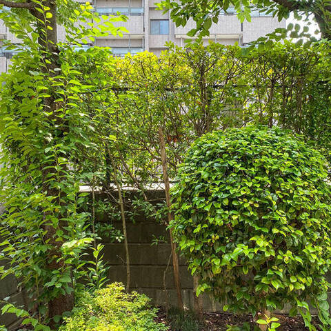 宮前平スカイハイツの室内写真