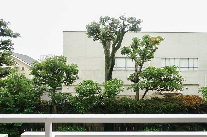 バルコニーへ出ると、マンション敷地内の植栽を挟んで、向かいの建物が視界に入ります。植栽がほどよい目の癒しに。住戸は2階所在です。