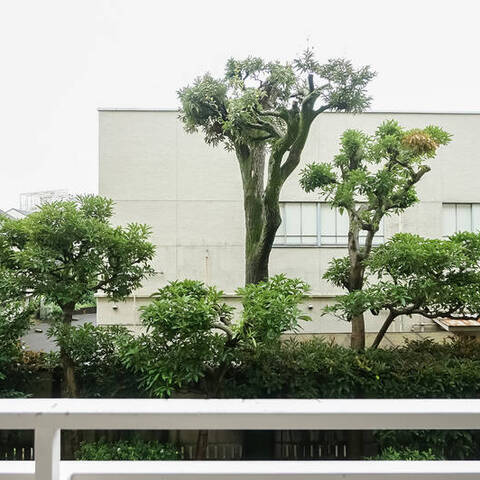 パークハイム新町三丁目の眺望・バルコニー写真