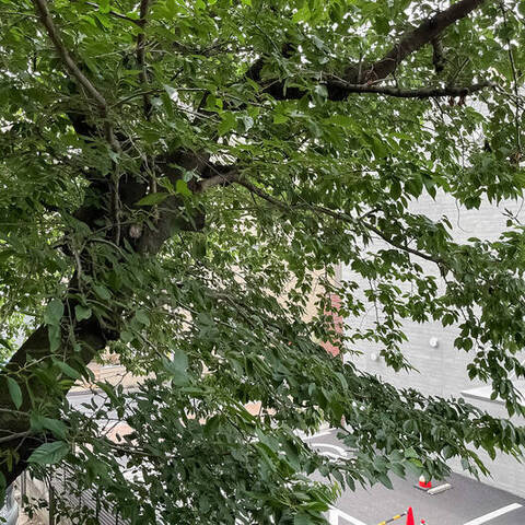 永福ニューハウジングの室内写真