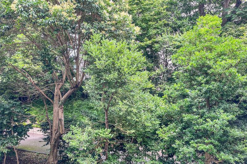 深呼吸したくなるほどの清々しさ。都心でこれほどのマイナスイオンを感じられるとは……!