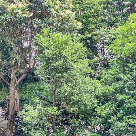 秀和第二三田綱町レジデンスの室内写真