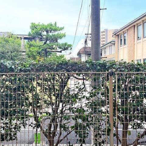 ライオンズマンション千石の眺望・バルコニー写真