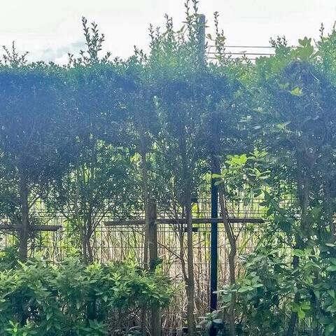 ジェイパレス宮崎台の室内写真