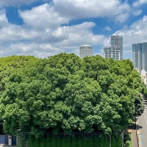 第2高輪ハウスの眺望・バルコニー写真