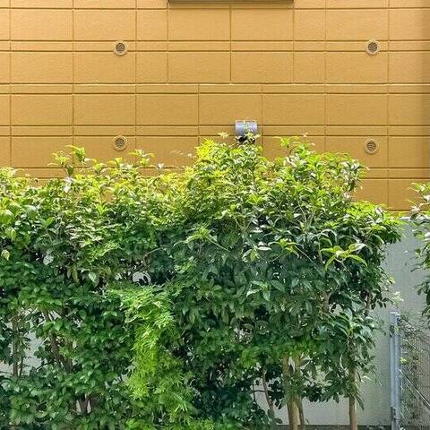 綱島シティハウスの室内写真