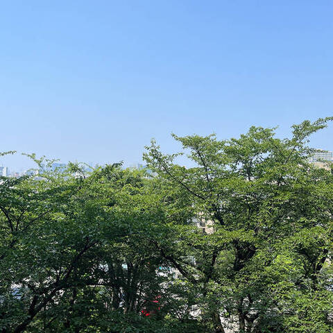 山王ガーデンハイツの室内写真