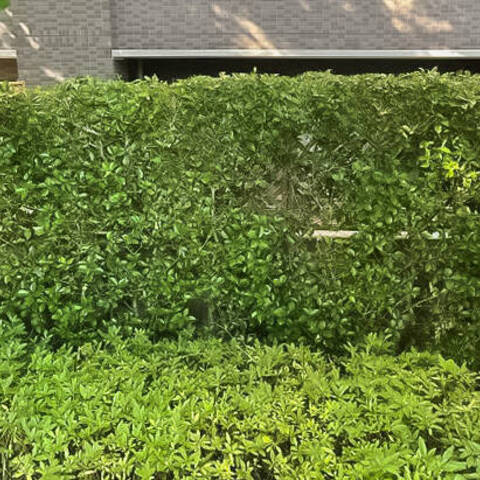 ライオンズガーデン調布ヶ丘の室内写真