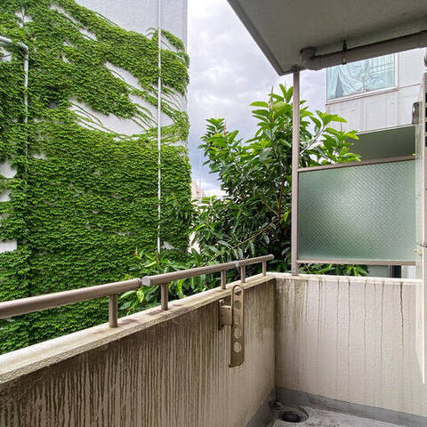 東急ドエル・アルス神宮前の室内写真