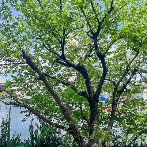 大森海岸パークハウスの室内写真