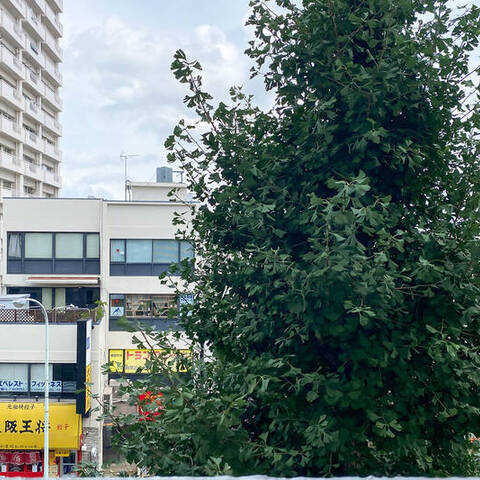 ウエストハイマンション高円寺の室内写真
