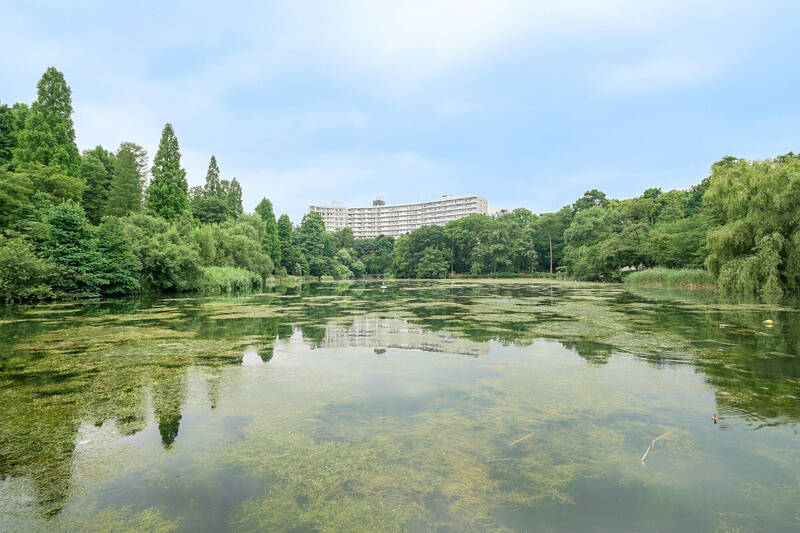 「<b>井の頭恩賜公園</b>」の森の奥、水面に反射する大きな白い建物……『<b>あのバルコニーからはどんな景色が見えるんだろう?</b>』と妄想したことがある方も少なくないはず。今回は、こちらのマンションの棟の一室をご紹介します。