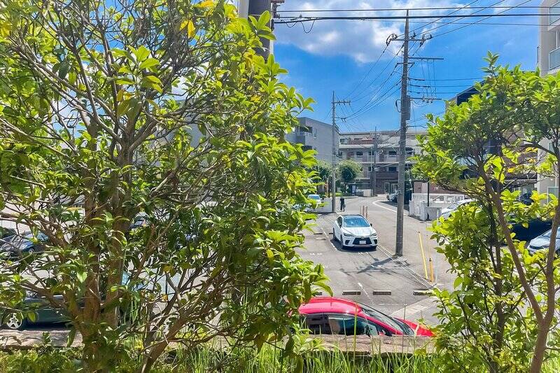 擁壁上の植栽が目隠しの役割を果たしています。