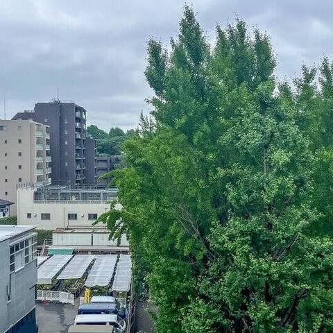 池之端永谷コーポラスの室内写真
