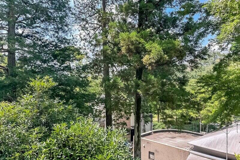 おお!大迫力の緑が出迎えてくれました。住戸は4階に所在するので、ちょうど木々と視線の高さが一緒で、マイナスイオンがたっぷり!