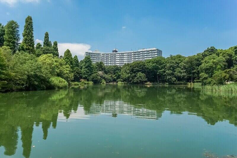 まずはこの写真をご覧ください。こちらの「井の頭恩賜公園」を一望できるパークサイドマンション、ご紹介しちゃいますよ……しかも、10階の角住戸です。もうその情報だけで鼻血が出そうっ……