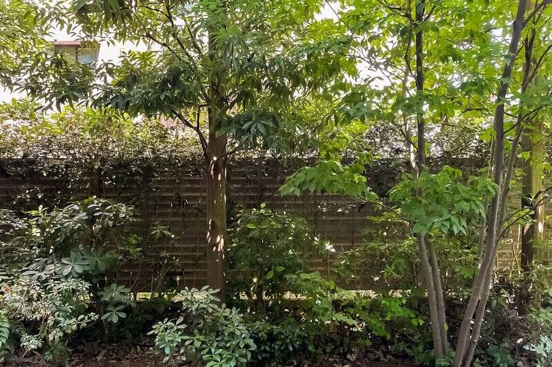 バルコニーに出てみました。塀の向こうには別のマンションが建っているものの、植栽のおかげでほとんど気になりません。