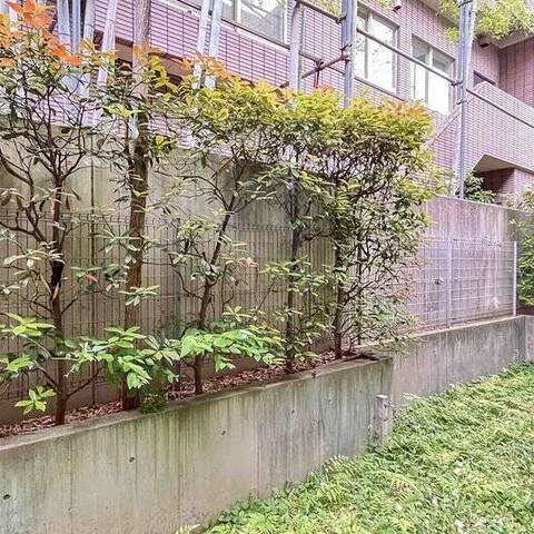 グランツオーベル目白近衛町の室内写真