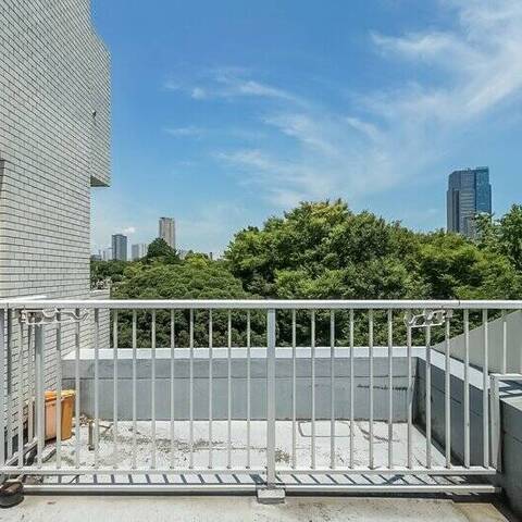 日興ロイヤルパレス西麻布の眺望・バルコニー写真