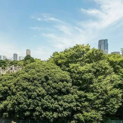 日興ロイヤルパレス西麻布の眺望・バルコニー写真