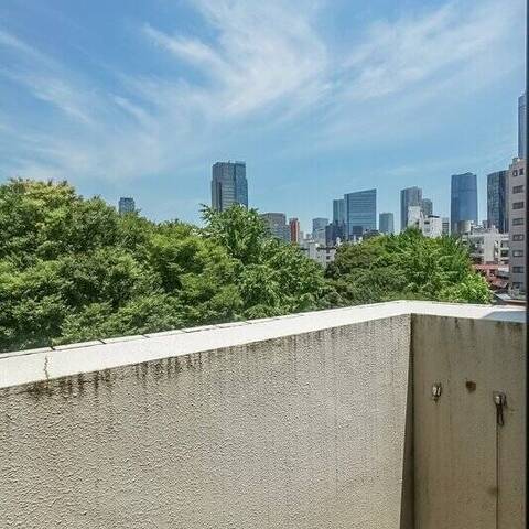 日興ロイヤルパレス西麻布の眺望・バルコニー写真