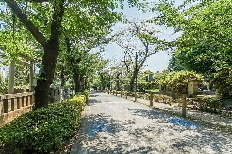 住戸からも見えていた「<b>青山霊園</b>」。霊園と聞くと少し身構えてしまう方もいらっしゃるかもしれませんが、「青山霊園」は都心にありながら、広々とした敷地と豊かな緑に囲まれた、静けさを感じられる場所です。お散歩コースにされている方も多いんですよ 。(徒歩1分)
