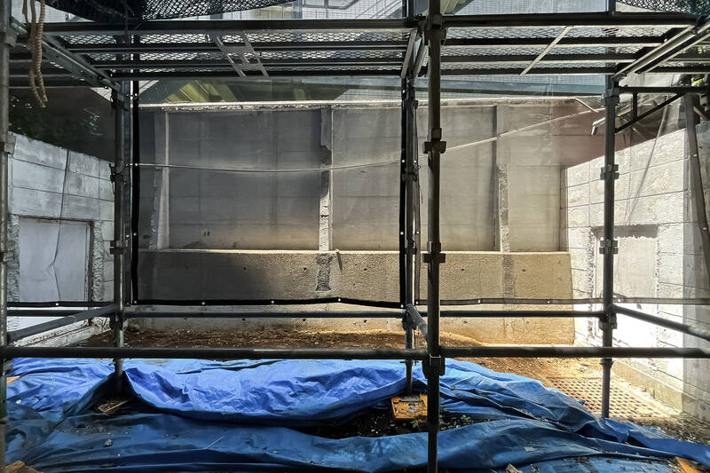 テラスへ出ると、現在大規模修繕工事中の足場が。住戸は1階所在で眺望こそ望めませんが、背の高い塀が外からの視線を遮ってくれますよ。