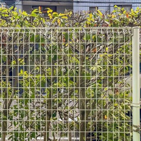 エヴァーグリーン錦糸町の室内写真