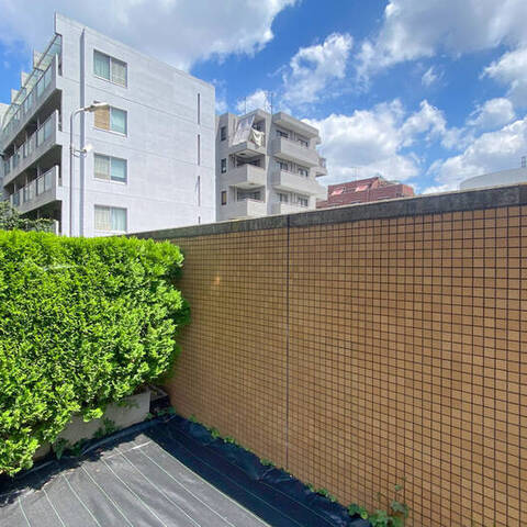 クレッセント国立の室内写真