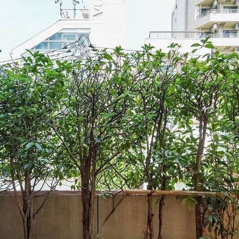 東高元代々木ペアシティの眺望・バルコニー写真
