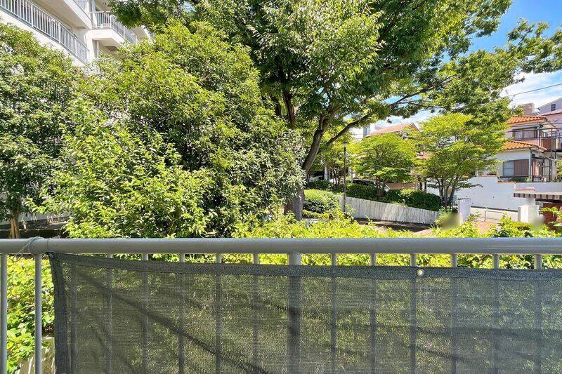 北東向きのバルコニーからは、マンションに隣接する公園のグリーンが望めます。